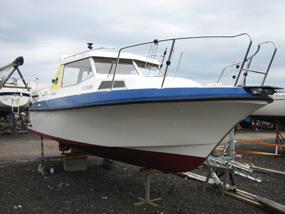 Avanti kausi 2011